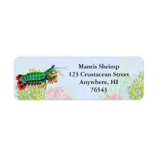Étiquette de crevettes Peacock Mantis