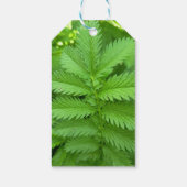 Étiquette de don avec feuilles botaniques vertes (Dos)