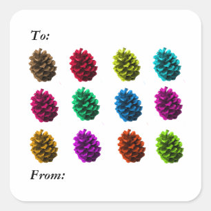 Étiquette de don de pommes de pin colorées
