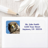 Étiquette de faucon pèlerin (En situation)