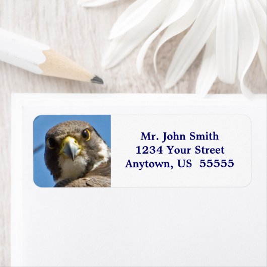 Étiquette de faucon pèlerin (En situation)