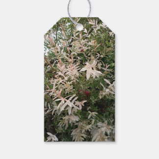 Étiquette de fleur sauvage botanique
