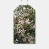 Étiquette de fleur sauvage botanique (Dos)