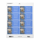 Étiquette de fleurs de cerisier blanc (Feuille entière)
