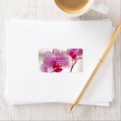 Étiquette de fleurs d'orchidée (En situation)