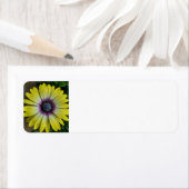 Étiquette de fleurs jaunes (En situation)
