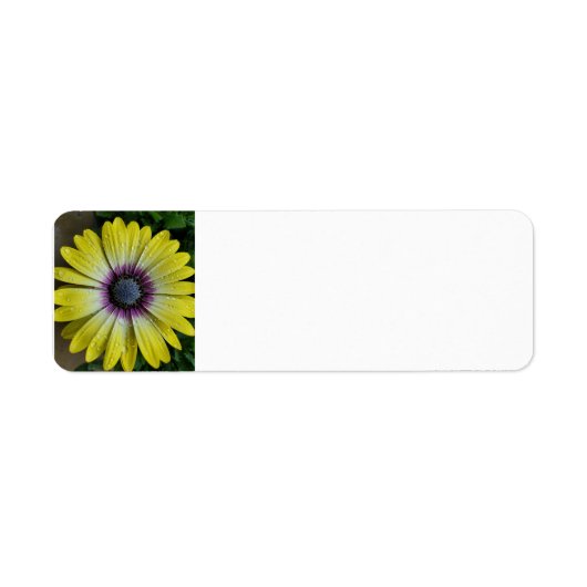 Étiquette de fleurs jaunes (Devant)