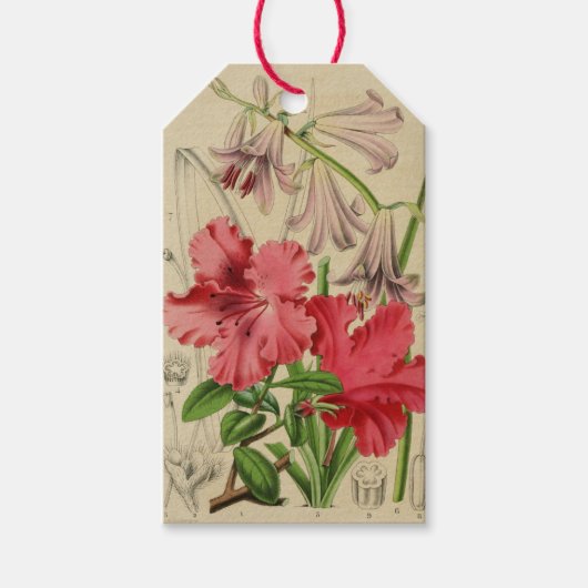 Étiquette de fleurs vintage (Devant)