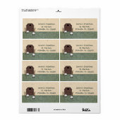 Étiquette de la Grange Sheep (Feuille entière)