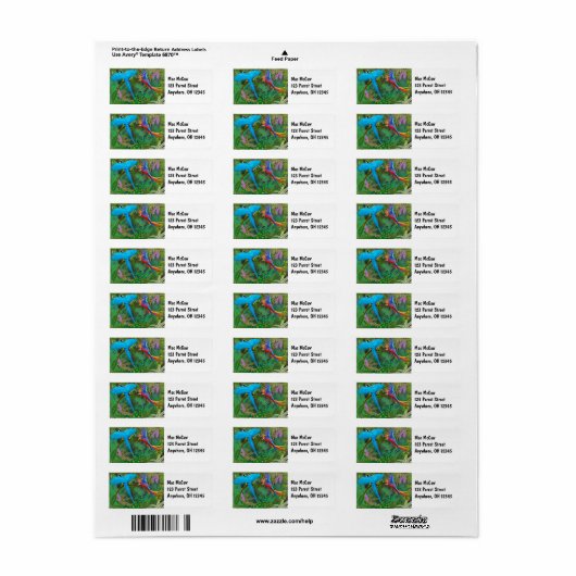 Étiquette de la jungle de Macaw (Feuille entière)