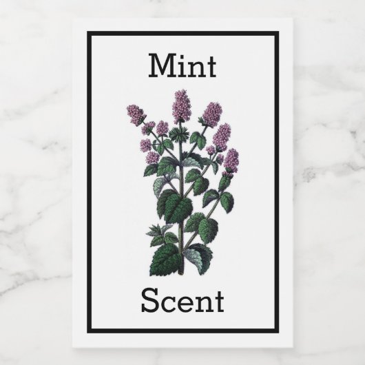 Étiquette de la monnaie antique (Étiquettes simples)