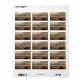 Étiquette de la plage de mariage Sunset Seashell (Feuille entière)