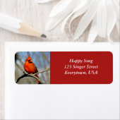 Étiquette de l'adresse cardinale brillante (texte (En situation)