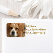 Étiquette de l'adresse de retour beagle (En situation)