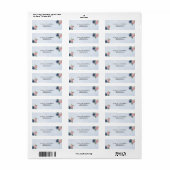 Étiquette de l'adresse de retour bleu et rose pâle (Feuille entière)