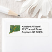 Étiquette de l'adresse de retour Connecticut Map (En situation)