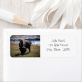 Étiquette de l'adresse de retour de bison (En situation)