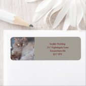 Étiquette de l'adresse de retour de chat (En situation)