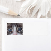 Étiquette de l'adresse de retour de chat - yeux bl (En situation)