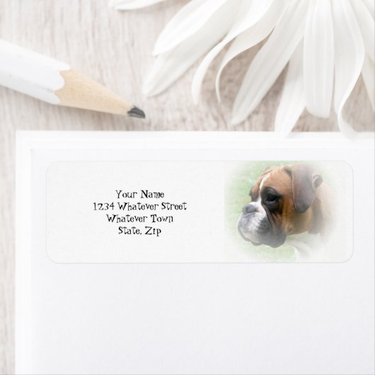 Étiquette de l'adresse de retour de chien de boîte (En situation)