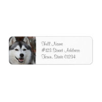 Étiquette de l'adresse de retour de chien Husky