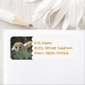 Étiquette de l'adresse de retour de la chouette de (En situation)