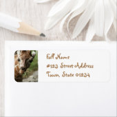 Étiquette de l'adresse de retour de la collation d (En situation)