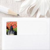 Étiquette de l'adresse de retour de la grenouille (En situation)