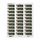 Étiquette de l'adresse de retour de la terre de co (Feuille entière)