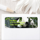 Étiquette de l'adresse de retour de l'ours Panda (En situation)