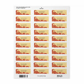 Étiquette de l'adresse de retour de Paisleys Elega (Feuille entière)