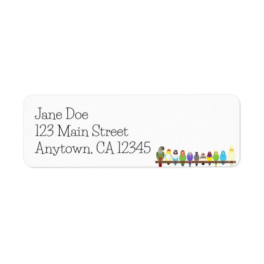 Étiquette de l'adresse de retour de perroquet (Devant)