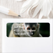 Étiquette de l'adresse de retour de Spider Monkey (En situation)