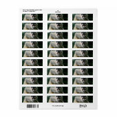 Étiquette de l'adresse de retour de Spider Monkey (Feuille entière)