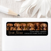 Étiquette de l'adresse de retour des canards de la (En situation)