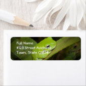 Étiquette de l'adresse de retour des réflexions su (En situation)