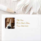 Étiquette de l'adresse de retour du Beagle dormant (En situation)