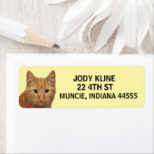 Étiquette de l'adresse de retour du CAT GINGER (En situation)