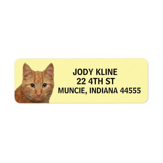 Étiquette de l'adresse de retour du CAT GINGER (Devant)