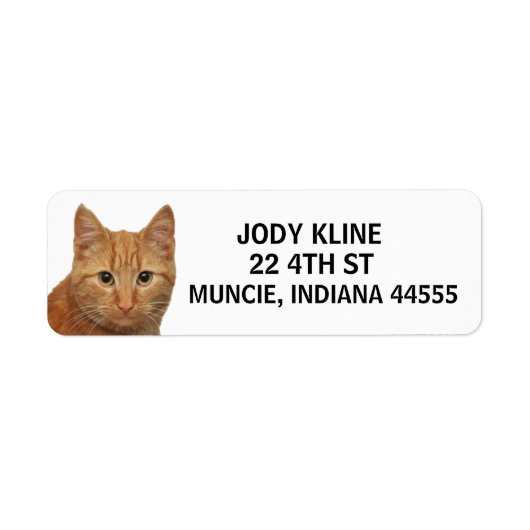 Étiquette de l'adresse de retour du CAT GINGER (Devant)