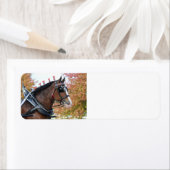 Étiquette de l'adresse de retour du cheval Clydesd (En situation)