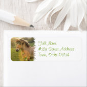 Étiquette de l'adresse de retour du poney Buckskin (En situation)