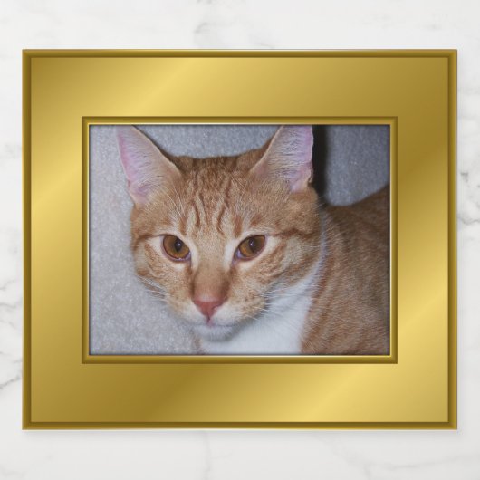 Étiquette de liquor de chat (Étiquettes simples)