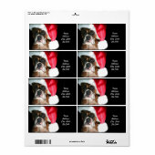 Étiquette de livraison de chien de boîte de Noël (Feuille entière)