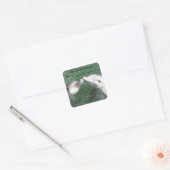 Étiquette de livre dauphins (Enveloppe)