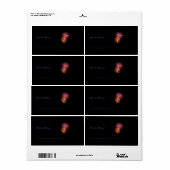 Étiquette de livres Fireworks P3621 (Feuille entière)