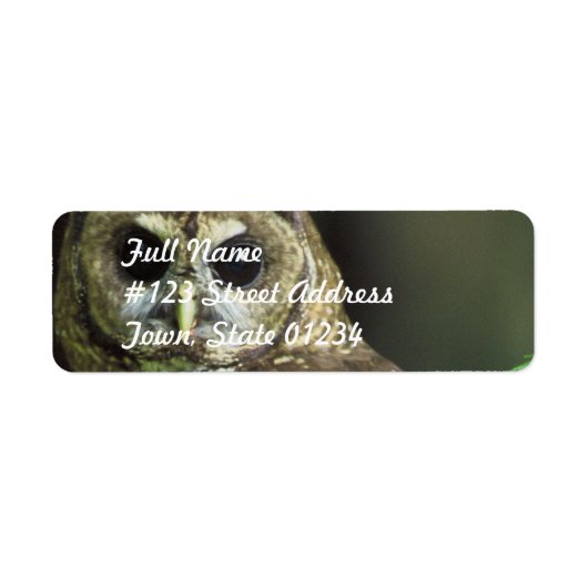 Étiquette de messagerie de la Chouette tachetée (Devant)