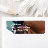 Étiquette de messagerie du cheval de sang chaud né (En situation)