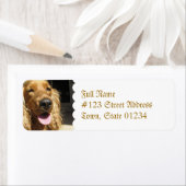 Étiquette de messagerie pour chien espagnol (En situation)