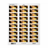 Étiquette de messagerie Tropical Sunset (Feuille entière)